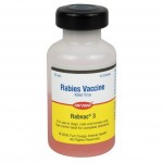 Rabvac 3 แรบแวค 3 วัคซีนป้องกันโรคพิษสุนัขบ้า ชนิดให้ภูมิคุ้มกันโรค 3 ปี 0